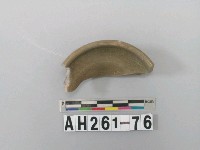 藏品(龍泉青瓷口緣部殘件)的圖片